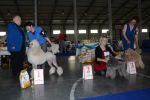 pudl bl krlovsk