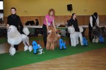 pudl bl krlovsk