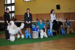 pudl bl krlovsk